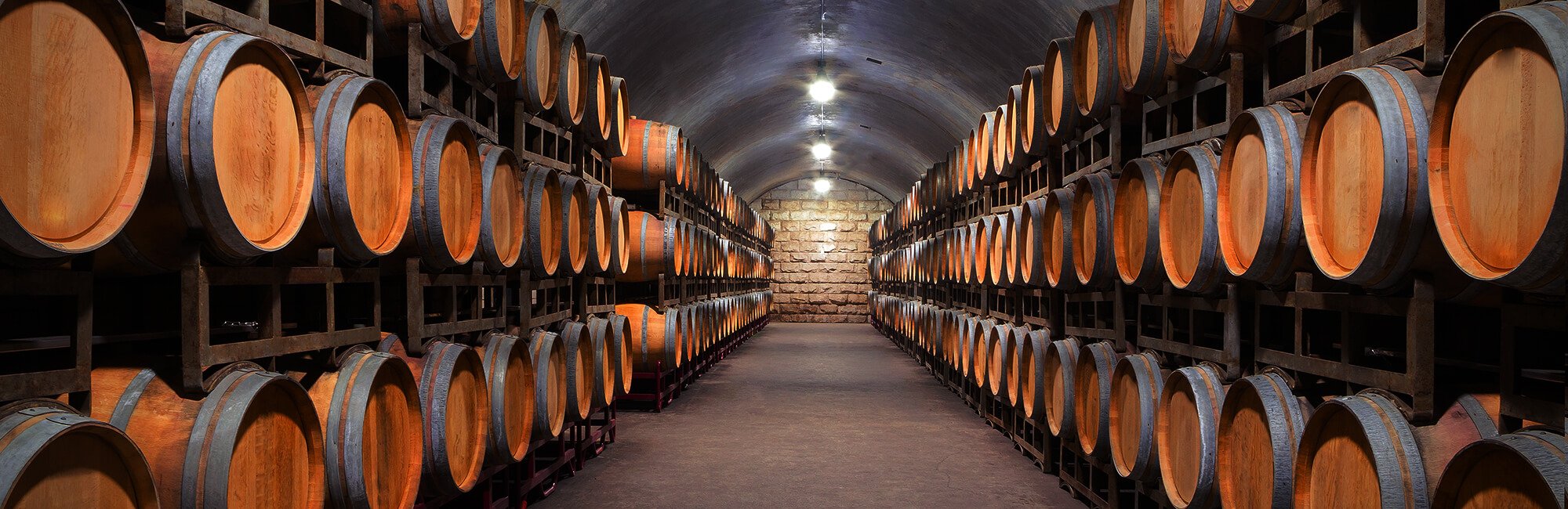 Wine cellar barrels
